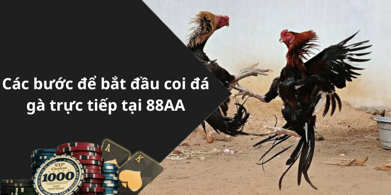 Các bước để bắt đầu coi đá gà trực tiếp tại 88AA