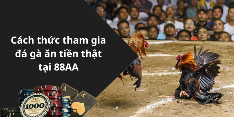 Cách thức tham gia đá gà ăn tiền thật tại 88AA