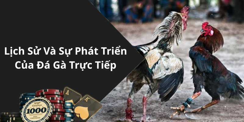 Lịch Sử Và Sự Phát Triển Của Đá Gà Trực Tiếp