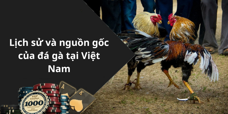 Lịch sử và nguồn gốc của đá gà tại Việt Nam