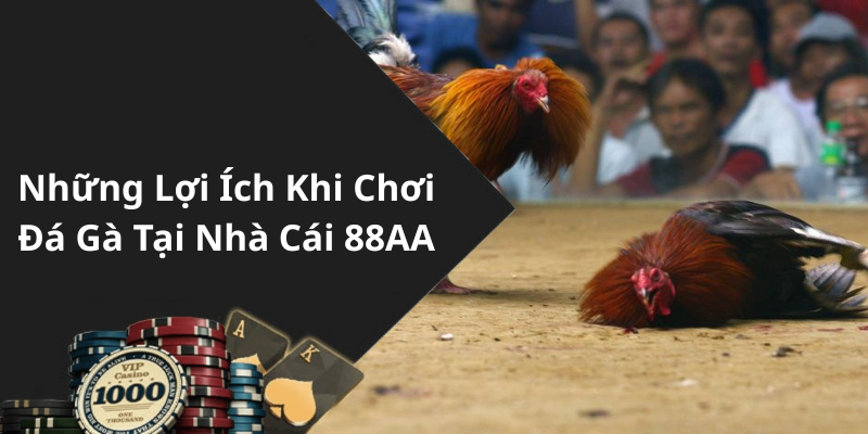 Những Lợi Ích Khi Chơi Đá Gà Tại Nhà Cái 88AA