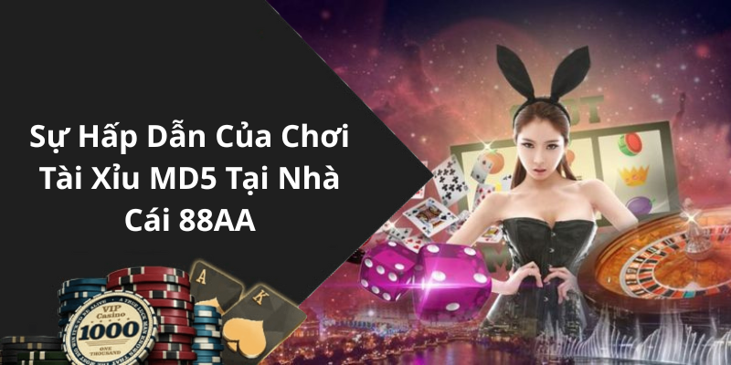 Sự Hấp Dẫn Của Chơi Tài Xỉu MD5 Tại Nhà Cái 88AA