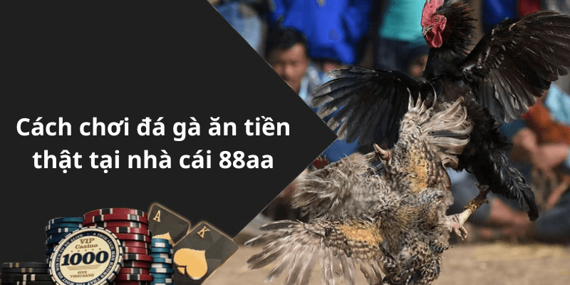 Cách chơi đá gà ăn tiền thật tại nhà cái 88aa