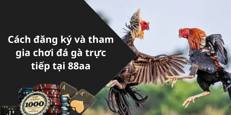 Cách đăng ký và tham gia chơi đá gà trực tiếp tại 88aa