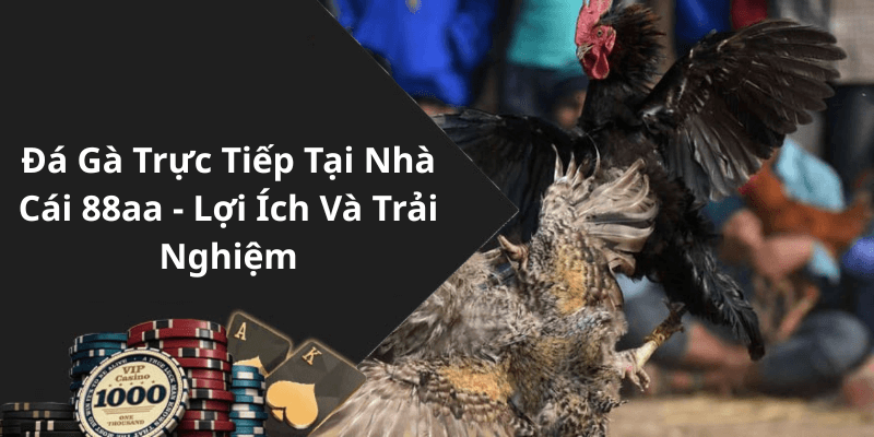 Đá Gà Trực Tiếp Thomo Tại Nhà Cái 88aa - Lợi Ích Và Trải Nghiệm