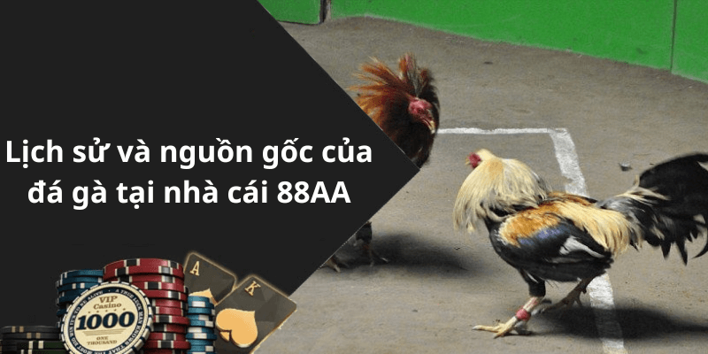 Lịch sử và nguồn gốc của đá gà tại nhà cái 88AA