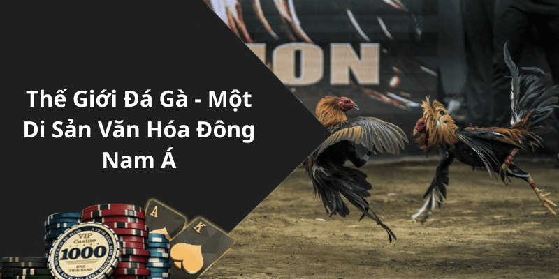 Thế Giới Đá Gà - Một Di Sản Văn Hóa Đông Nam Á