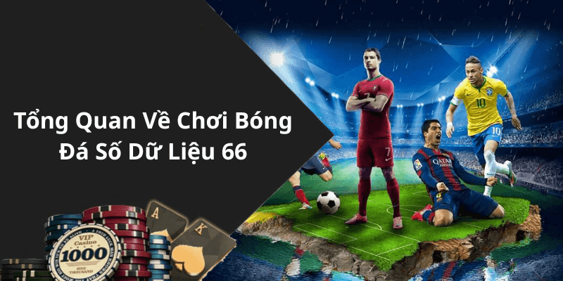 Tổng Quan Về Chơi Bóng Đá Số Dữ Liệu 66