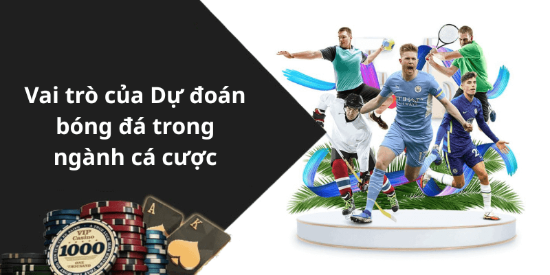 Vai trò của Dự đoán bóng đá trong ngành cá cược