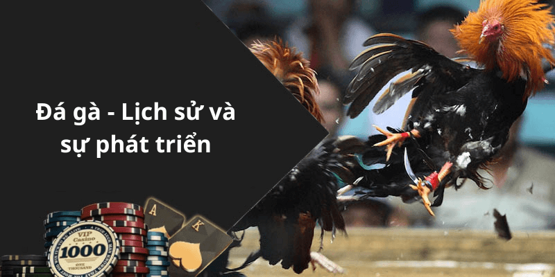 Đá gà - Lịch sử và sự phát triển