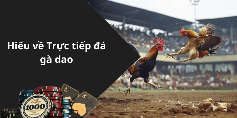 Hiểu về Trực tiếp đá gà dao