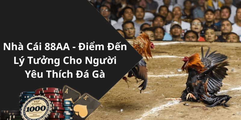 Nhà Cái 88AA - Điểm Đến Lý Tưởng Cho Người Yêu Thích Đá Gà