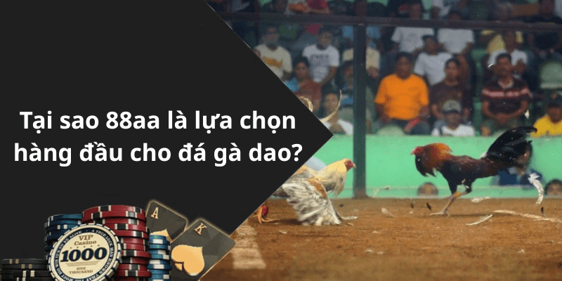 Tại sao 88aa là lựa chọn hàng đầu cho đá gà dao